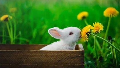 意大利田径运动员在接力赛中夺冠